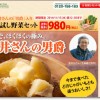 大地を守る会 お試し野菜セット 11/13 PM12:30まで